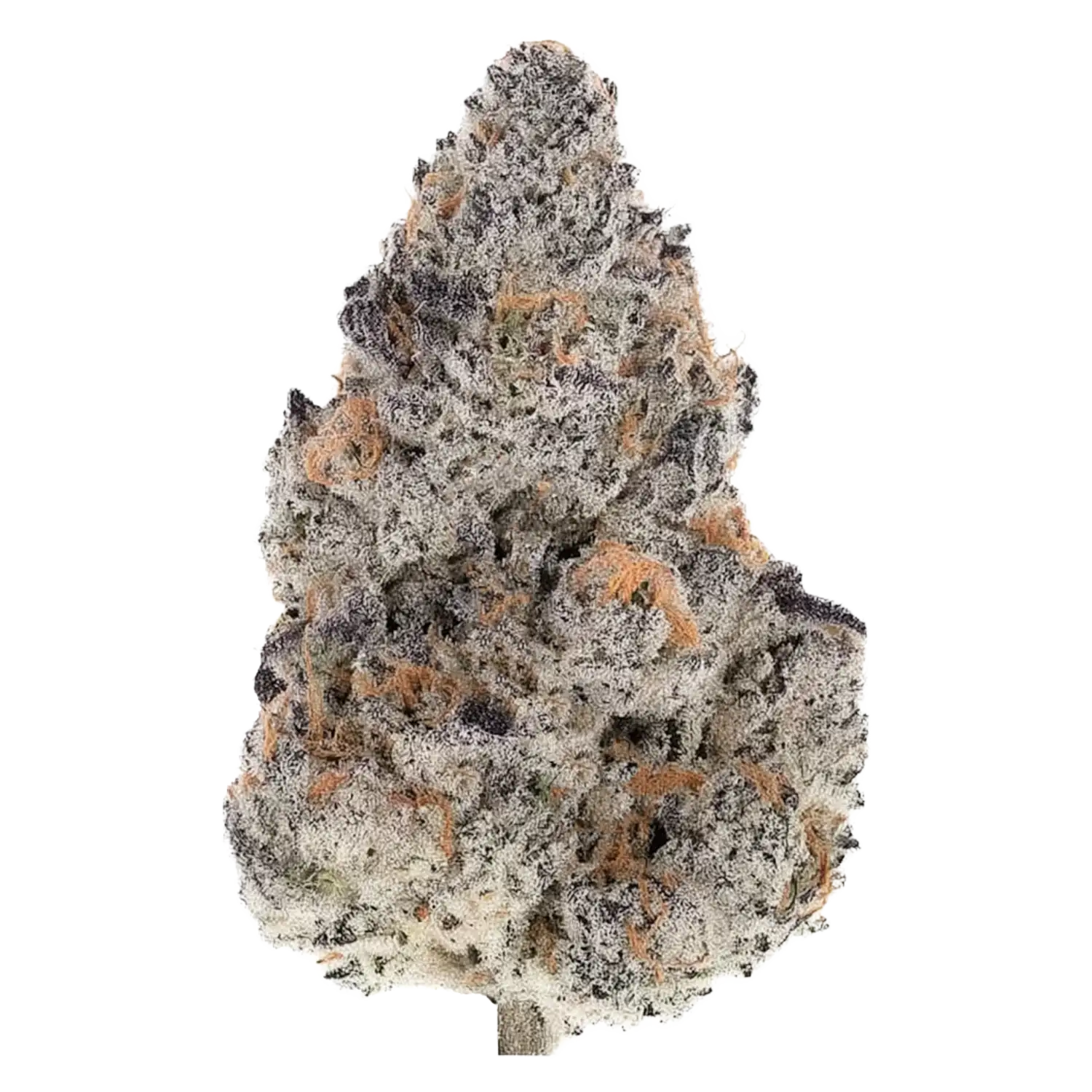 Buy Ferrari Runtz strain online — small dense buds with light green and purple hues from hashkauden.de