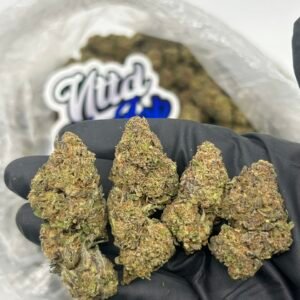 Lemon Diesel strain by Green Lantern Seeds — neon green dense buds with orange pistils and amber trichomes