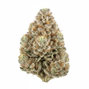 buy-zookies-strain-online